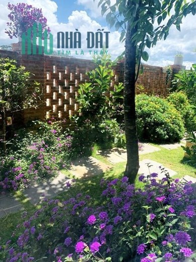 Villa Toạ Lạc Tại Đường Nguyên Tử Lực Phường 8 TP Đà Lạt.