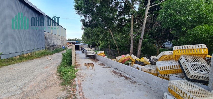 Chính chủ cần bán 1,4 mẫu đất liền kề khu TDC Hàm Ninh