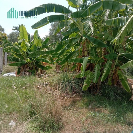 CHÍNH CHỦ BÁN  Lô Đất Đẹp Vị Trí Đắc Địa Tại Huyện Bình Chánh