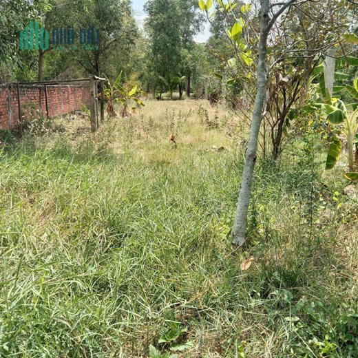 CHÍNH CHỦ BÁN  Lô Đất Đẹp Vị Trí Đắc Địa Tại Huyện Bình Chánh