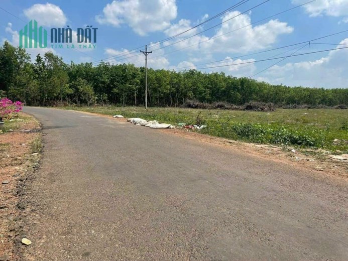 NỢ TIỀN NGÂN HÀNG tôi cần ra đi mảnh vườn tàm huyết ngay chợ DT 3020m2 chỉ 300TR