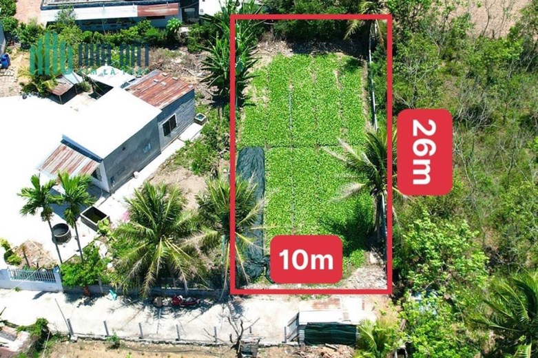 Lô đất tại Xã Diên Sơn - Huyện Diên Khánh cần bán : chỉ 1 tỷ 250