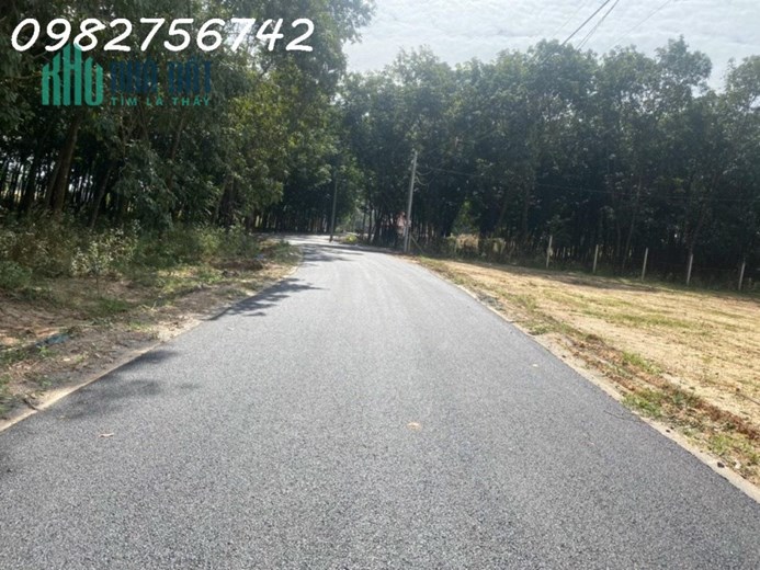 Bán đất Bến Cát_ khu phố 2 Tân Định_ đường nhựa thông rộng 6 mét