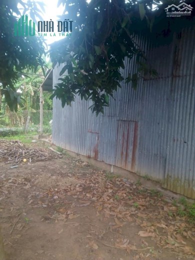 Kẹt tiền bán gấp 210m2 đất mặt đường nhựa an giang giá siêu rẻ