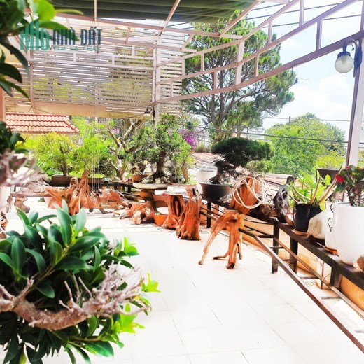 Biệt thự 341m² sang trọng 3 mặt tiền, view Dinh 3, giá 24 tỷ tại Lê Hồng Phong, Đà Lạt