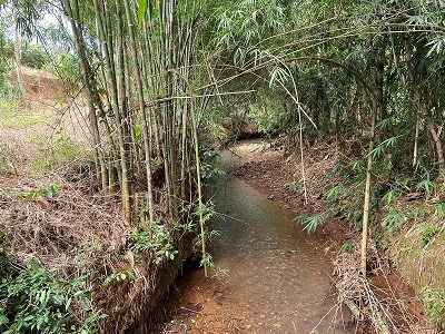 Chính chủ cần bán đất tại Ấp 94 Xã Túc Trưng - Huyện Định Quán - Đồng Nai