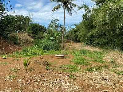 Chính chủ cần bán đất tại Ấp 94 Xã Túc Trưng - Huyện Định Quán - Đồng Nai