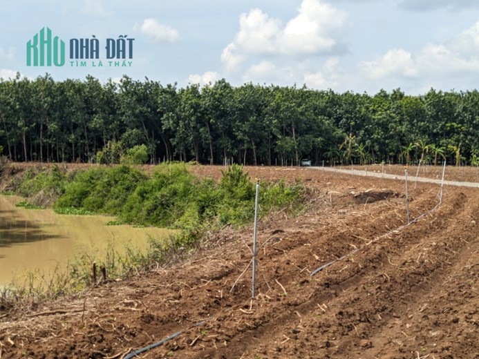 Giá giảm cực mạnh - SHR - chủ cần bán gấp chỉ 430tr trọn sổ 1000m2