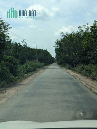 Kẹt Vốn Bán Hơn 1 sào Đất Vườn Trồng Cây chỉ 425Tr, Sổ Hồng Riêng