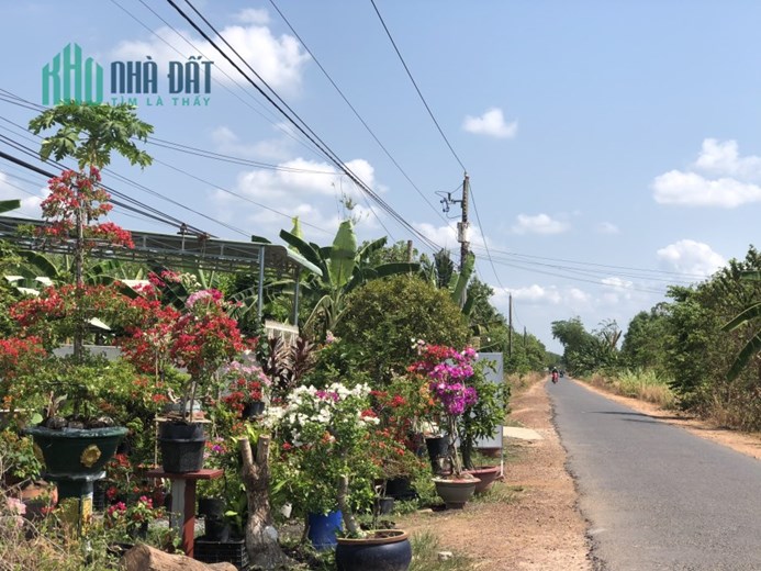Bán Đất Ngộp - Đất Ngộp Cần Bán - Ngay Và Luôn