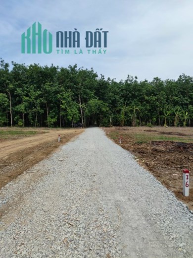 ĐI LẤY CHỒNG XA, NÊN BÁN ĐẤT VÌ KHÔNG AI TRÔNG COI