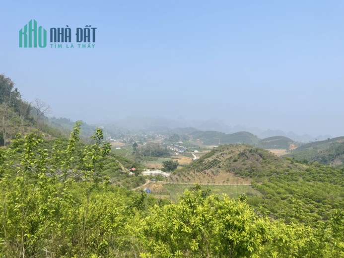 ĐẤT NỀN MỘC CHÂU- DIỆN TÍCH LỚN GIÁ CỰC RẺ VIEW TOÀN BỘ BẢN HOA