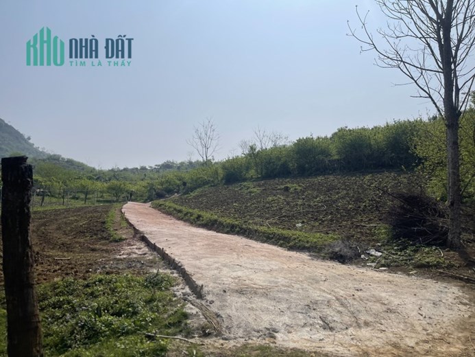 ĐẤT NỀN MỘC CHÂU- DIỆN TÍCH LỚN GIÁ CỰC RẺ VIEW TOÀN BỘ BẢN HOA