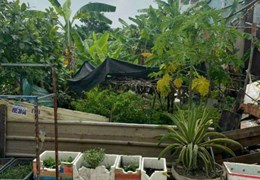 [THẠNH XUÂN-Q12] CHỦ QUÁ NGỘP BÁN ĐẤT HẺM XE TẢI 87M2 – 3,2 TỶ