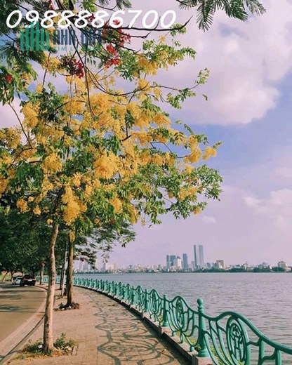 Cho thuê MBKD phố Thụy Khuê sầm uất - kinh doanh đa dạng - khu vực đẹp nhất phố