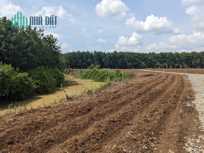 GẤP! THÁNG SAU CẦN TẤT TOÁN TIỀN VAY NGÂN HÀNG, GIÁ NÀO CŨNG BÁN