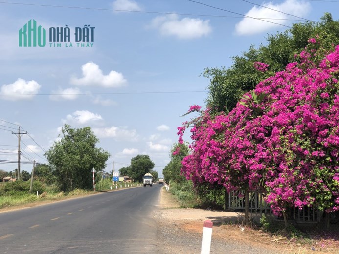 Bán 1000m2 đất cách đường nhựa chỉ 400m, có suối gần đất giá tốt nhất thị trường