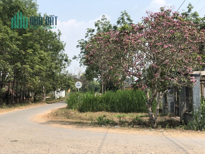 Em còn sót lại lô đất 22m mặt tiền hậu 70m mà giá chỉ 360TR hết đất còn thương lượng
