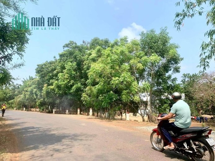ĐÁO HẠN NGÂN HÀNG tôi bán mảnh đất Thổ Cư ngay chợ DT 1010m2. Giá 390TR