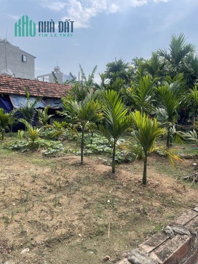 BÁN LÔ ĐẤT THỔ CƯ TẠI KHU 8 THÔN HOÀNG KIM, XÃ HOÀNG KIM, MÊ LINH, HÀ NỘI.