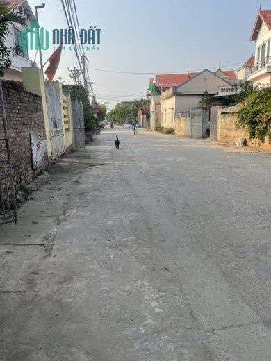 BÁN LÔ ĐẤT THỔ CƯ TẠI KHU 8 THÔN HOÀNG KIM, XÃ HOÀNG KIM, MÊ LINH, HÀ NỘI.