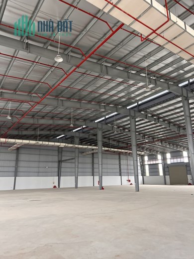 CHO THUÊ KHO, XƯỞNG TẠI ĐƯỜNG 385 VĂN LÂM. HƯNG YÊN giá tốt