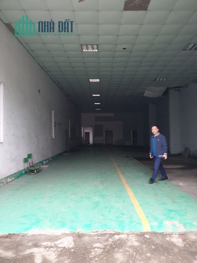 Cho thuê 300m kho mặt đuờng Đình Ấm, Khai Quang, Vĩnh Yên Giá thuê 15 triệu .Liên hệ: 0986.797.222