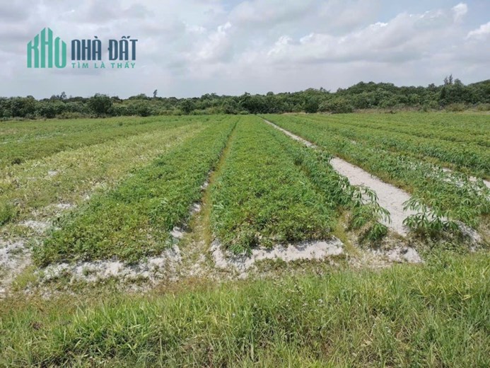 ần bán đất tại xã Điền Môn, Phong Điền, Thừa Thiên Huế