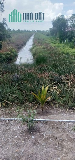 CHÍNH CHỦ CẦN BÁN 2 LÔ ĐẤT TÂM HUYẾT VỊ TRÍ ĐẸP GIÁ SIÊU ĐẦU TƯ.