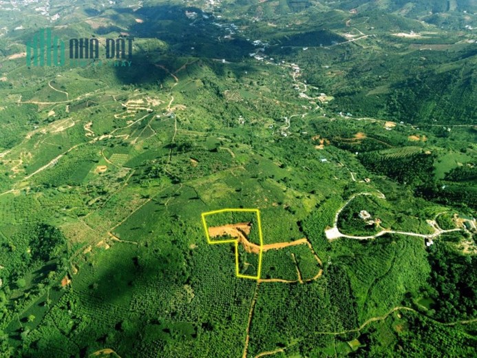 Sở Hữu Ngay Lô Đất Đẹp Vị Trí Đắc Địa Tại Thôn 12, Xã Lộc Thành, Huyện Bảo Lâm, Lâm Đồng