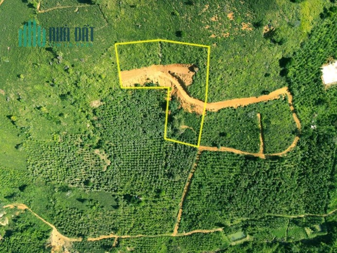 Sở Hữu Ngay Lô Đất Đẹp Vị Trí Đắc Địa Tại Thôn 12, Xã Lộc Thành, Huyện Bảo Lâm, Lâm Đồng