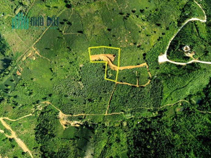 Sở Hữu Ngay Lô Đất Đẹp Vị Trí Đắc Địa Tại Thôn 12, Xã Lộc Thành, Huyện Bảo Lâm, Lâm Đồng