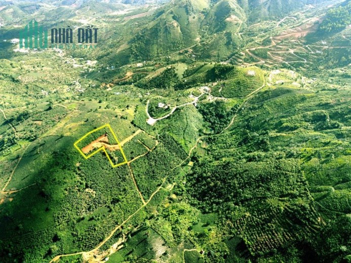 Sở Hữu Ngay Lô Đất Đẹp Vị Trí Đắc Địa Tại Thôn 12, Xã Lộc Thành, Huyện Bảo Lâm, Lâm Đồng
