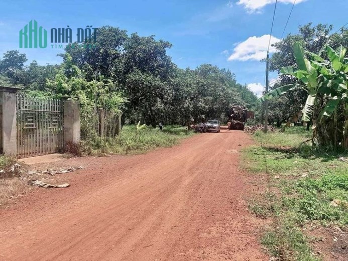 Chính chủ BÁN GẤP 4 lô đất 1005M2 có 400m THỔ CƯ. Ngay sát Chợ, Sân Bay. Giá 400TR.