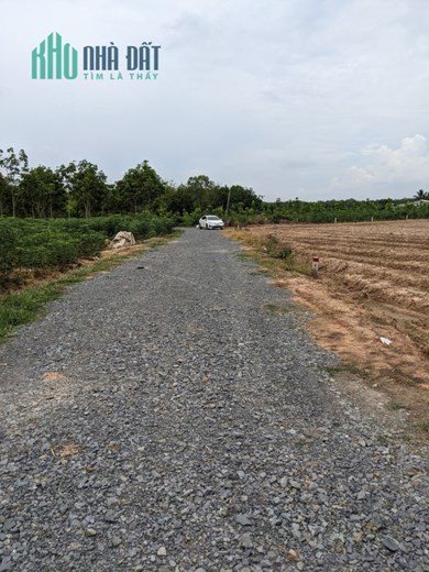 Đầu tư đất vườn sổ riêng Tây Ninh - chào đón sự giàu có và thịnh vượng chỉ với 378 nghìn / m2