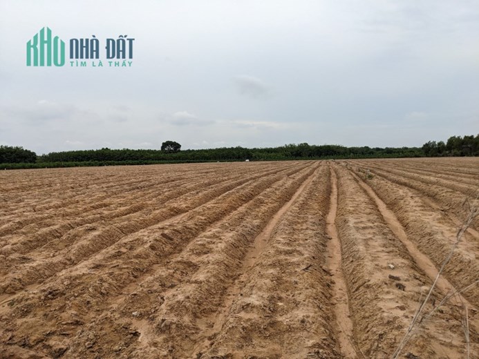 Đầu tư đất vườn sổ riêng Tây Ninh - chào đón sự giàu có và thịnh vượng chỉ với 378 nghìn / m2