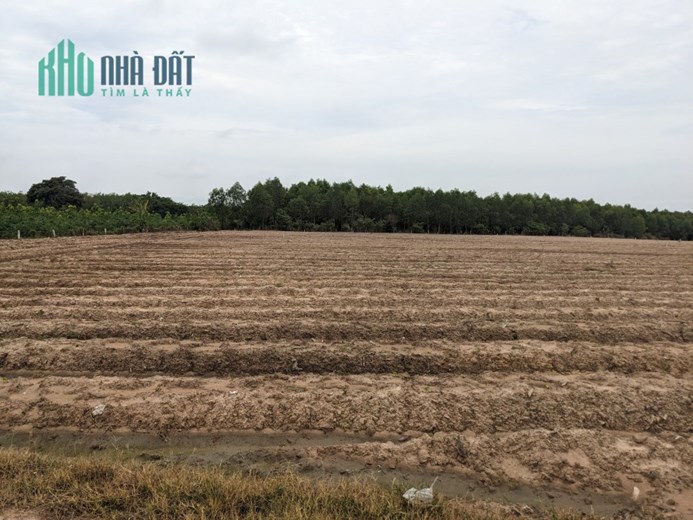 5xx triệu sở hữu 1496m2 đất vườn sổ hồng - vị trí đắc địa để đầu tư