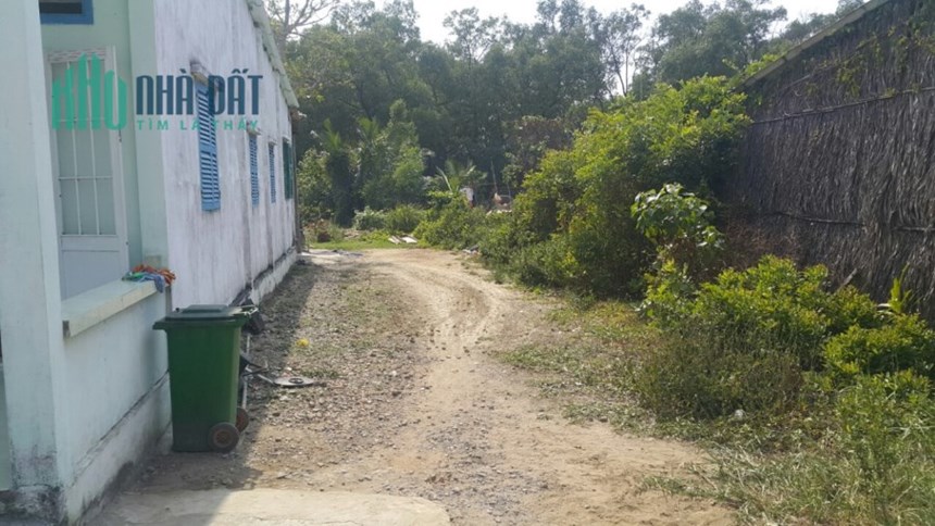 Bán lô đất mặt tiền đường nhựa 10m xã Lý Nhơn, Cần Giờ 3.5tỷ