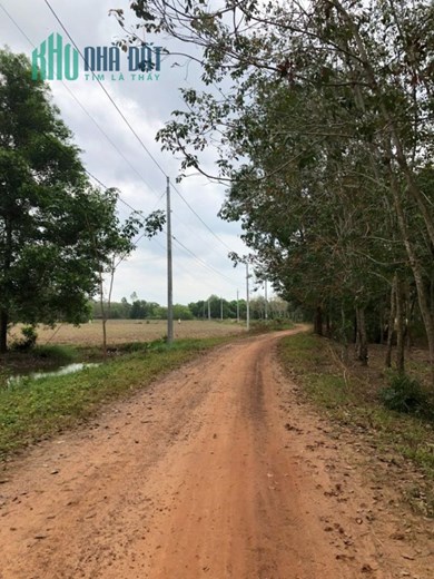 Lô đất quá đẹp siêu rẻ 1495m2 tại Tây Ninh, có điện và gần KDC
