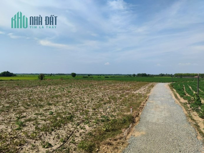 Lô đất quá đẹp siêu rẻ 1495m2 tại Tây Ninh, có điện và gần KDC