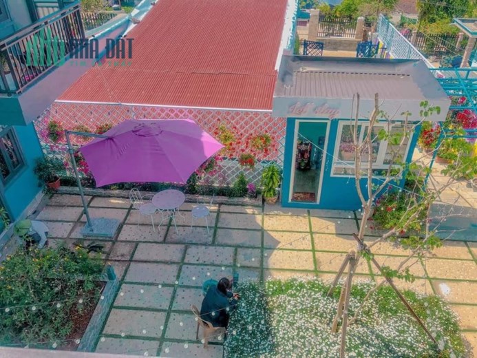 Chính Chủ Cần Bán Homestay Giá Cực Rẻ Tại Phường 8, TP Đà Lạt, Lâm Đồng.