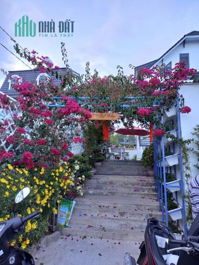 Chính Chủ Cần Bán Homestay Giá Cực Rẻ Tại Phường 8, TP Đà Lạt, Lâm Đồng.