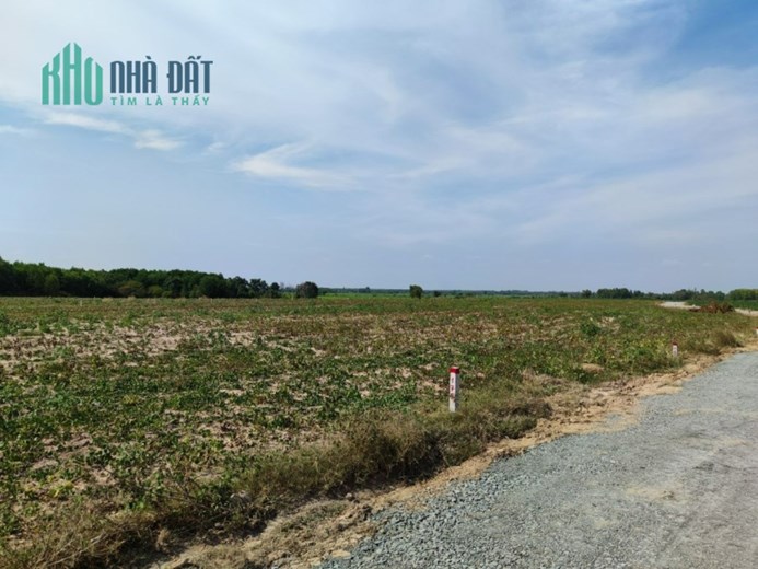 BÁN CẶP ĐẤT CỦA HAI ANH EM, GIÁ THÌ MỀM HƠN CẢ BÚN