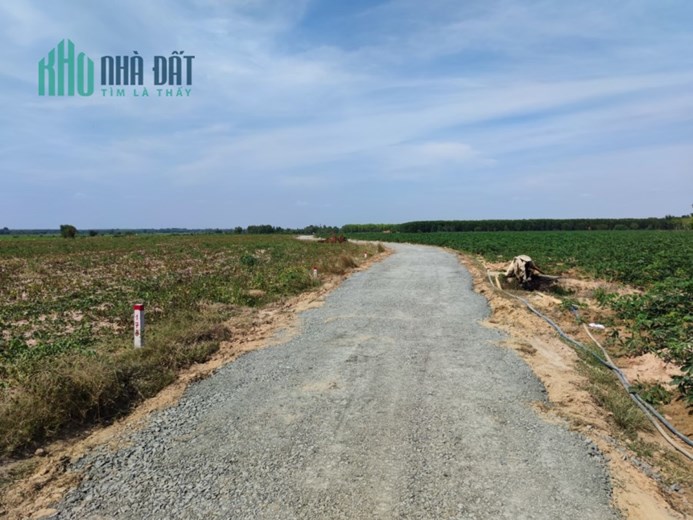 BÁN CẶP ĐẤT CỦA HAI ANH EM, GIÁ THÌ MỀM HƠN CẢ BÚN