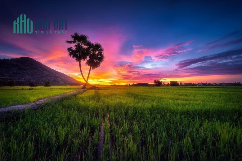 Gần 3000m2 đường lớn thông, gần Nhựa lớn, gần Dân Cư, Sổ Riêng