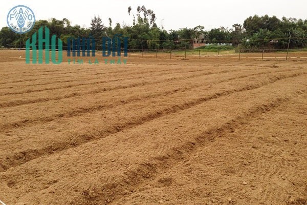 Gần 3000m2 đường lớn thông, gần Nhựa lớn, gần Dân Cư, Sổ Riêng