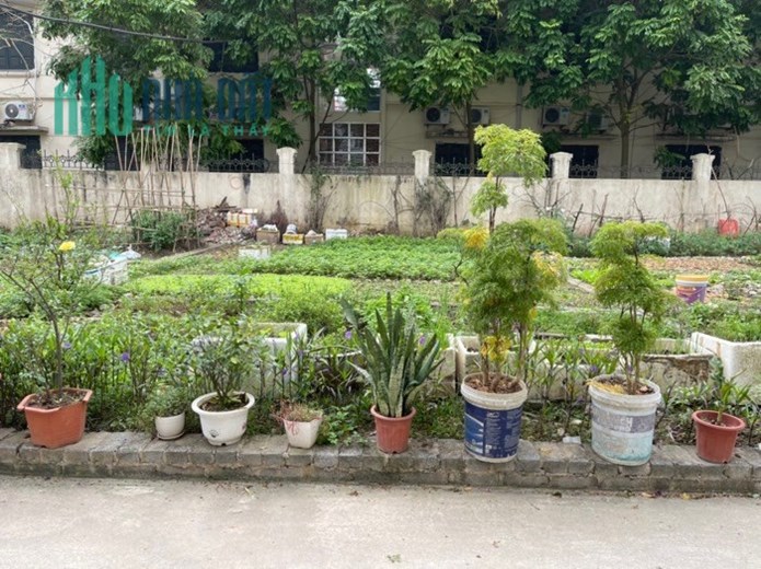 Đất học,phân lô siêu to, thông thoáng tại Đông Ngạc , Từ Liêm.212 m2 giá 11,8 tỷ