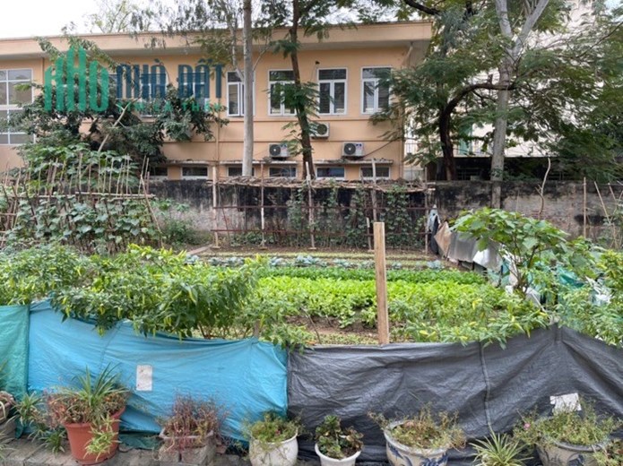 Đất học,phân lô siêu to, thông thoáng tại Đông Ngạc , Từ Liêm.212 m2 giá 11,8 tỷ