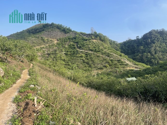 ĐẤT NỀN MỘC CHÂU- GIÁ RẺ NHƯ CHO GẦN TRỤC ĐƯỜNG CHÍNH