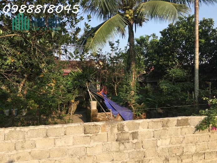 Bán gấp nhà xã Dân Lý, huyện Triệu Sơn, tỉnh Thanh Hóa, 472m2, MT 18m, hướng Đông Nam, mTG